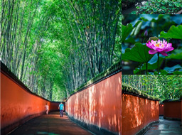 从武侯祠到宽窄巷子，吃到正宗的四川火锅，人间太值得了！