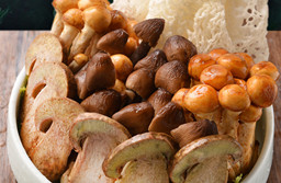 菌子的夏天,华体会体育官方网站第二届菌子节限定新品正式开售！