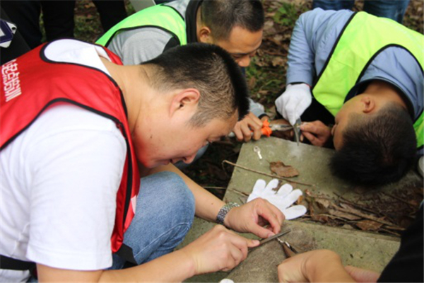 1540990145930420.jpg 图片14.jpg