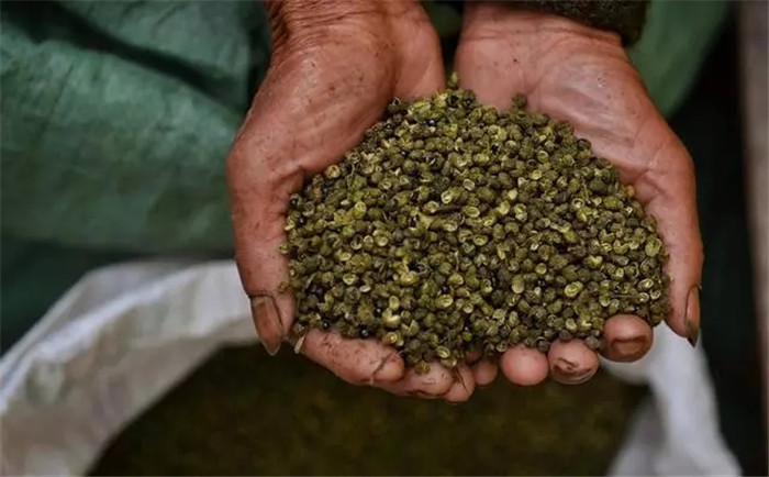 1551860797972833.jpg 2.jpg