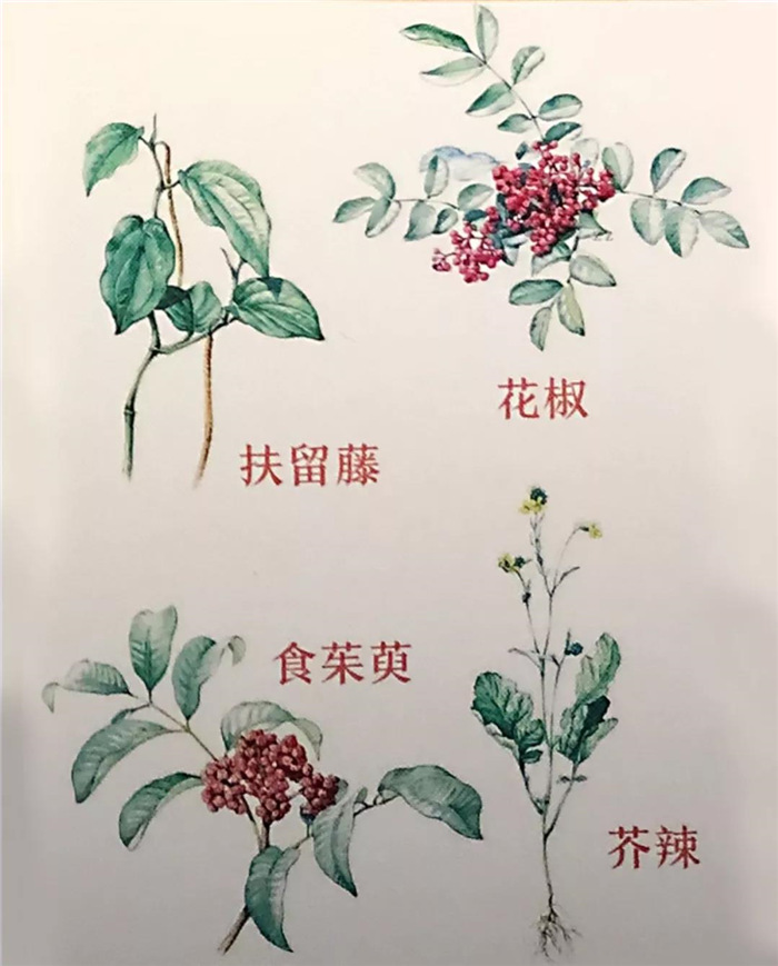 1557995493425903.jpg 2.jpg