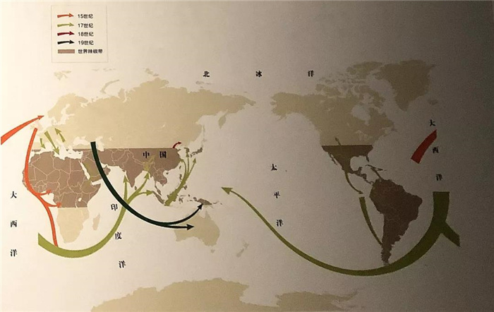 1557995505413464.jpg 3.jpg