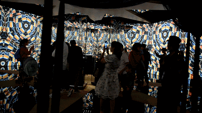 1557995691938559.gif 14.gif