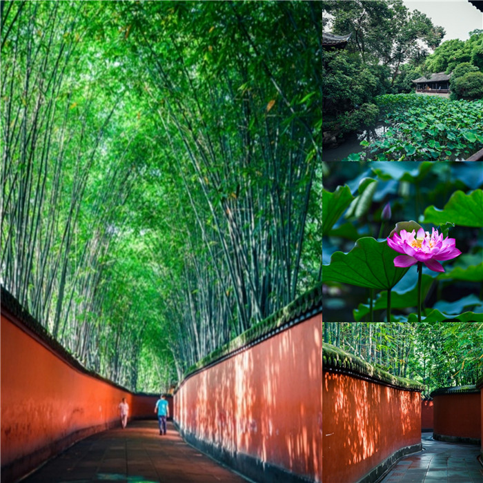 1560506177249107.jpg 4.jpg