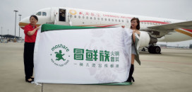 1561964750336028.jpg wps14.jpg