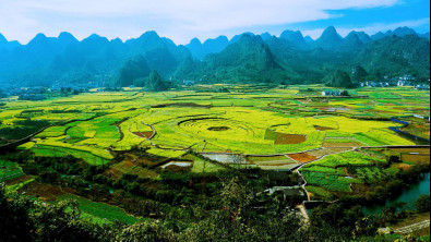 1561965077853511.jpg wps31.jpg