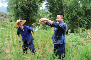 1561965126587069.jpg wps33.jpg