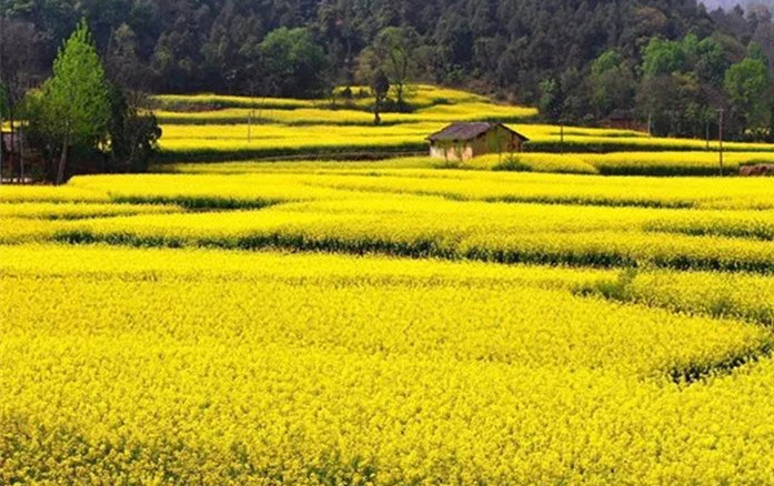 1563331288859646.jpg 4.jpg