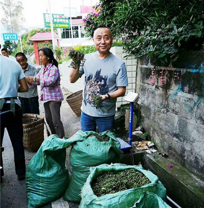 1563331309888337.jpg 6.jpg