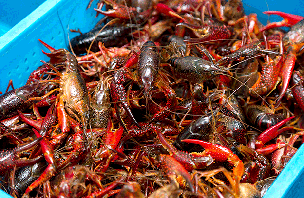 1564131864185109.gif 2.gif