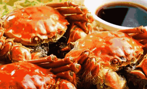 1564131963289923.gif 11.gif