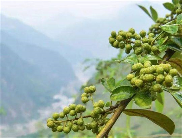 1571306456863921.jpg 微信图片_20191017175627.jpg