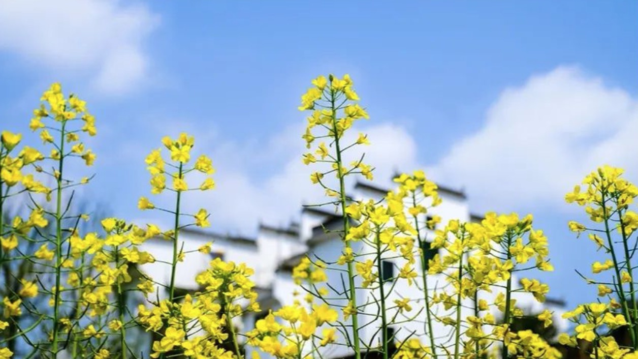 1583922687171090.png image.png