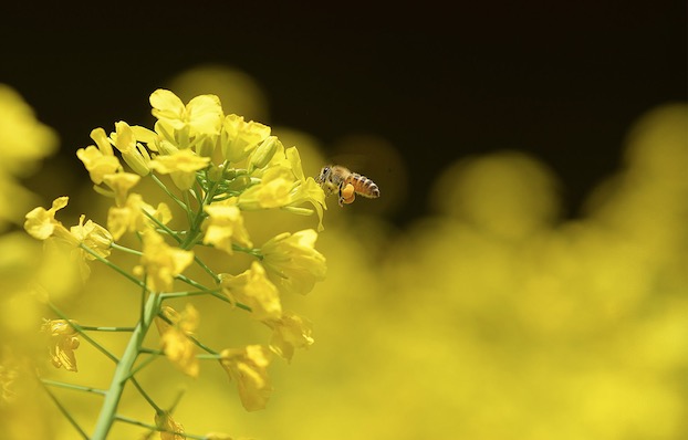 1584943263880240.png image.png