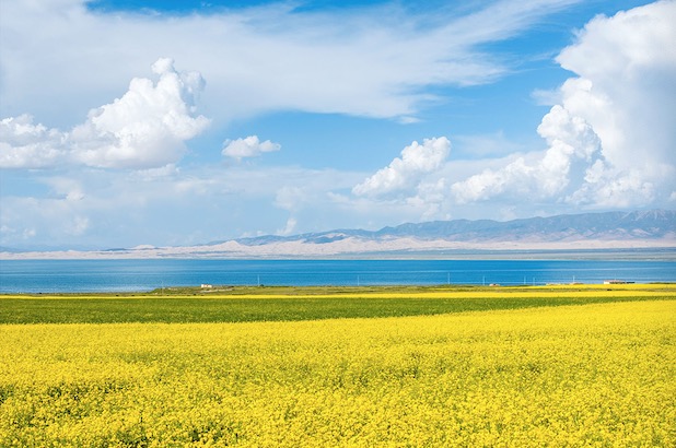 1584943295147848.png image.png