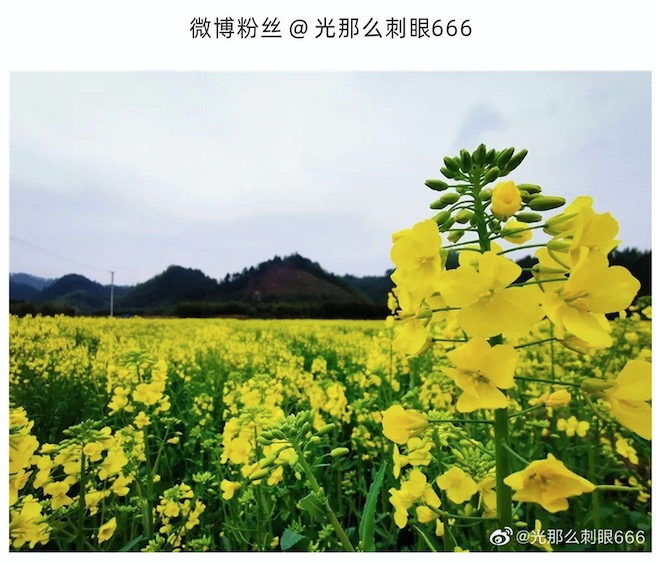 1584944560786908.png image.png