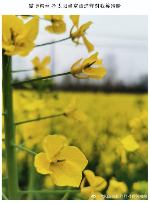 1584944649202558.png image.png