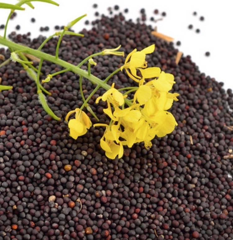 1589357250348232.png image.png