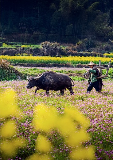 1589358043534637.png image.png