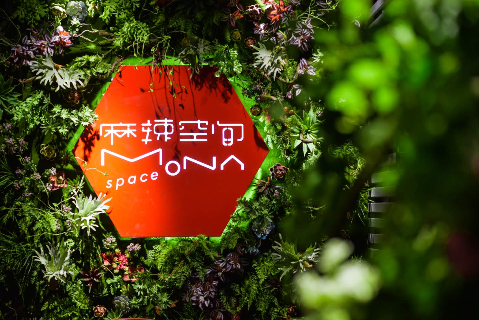 1590463488540733.jpg 1门店图的副本.jpg