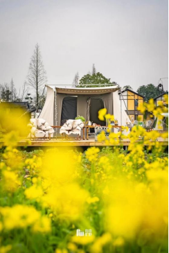 1647417527873353.png image.png